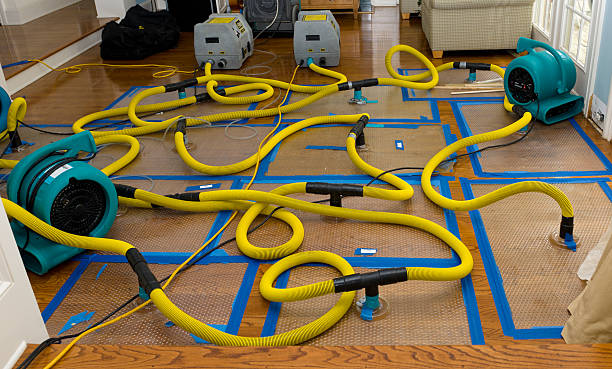 Professional Water Damage Restoration technician working in Davenport, CA